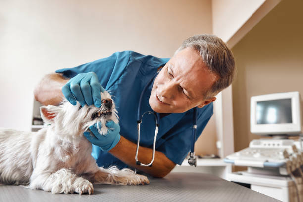 Best Emergency Dental Extractions in Short Pump, VA
